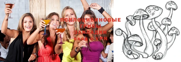 дмт Володарск